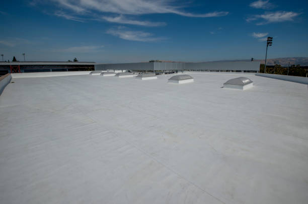 Best Rubber Roofing (EPDM, TPO)  in Black River Falls, WI