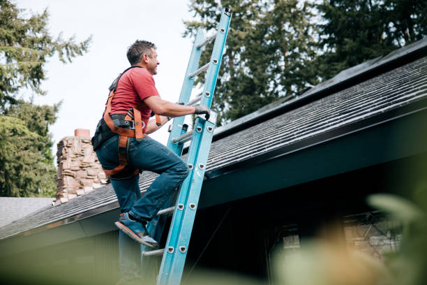 Best Asphalt Shingle Roofing  in Black River Falls, WI